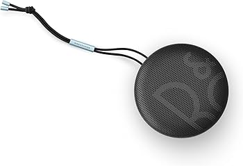 Amazon.com: Bang & Olufsen Beosound A1 (2nd Generation) Wireless