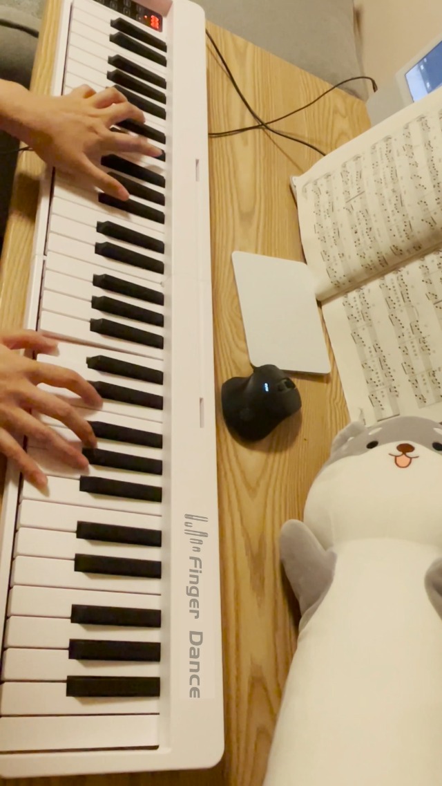 Amazon.com: Finger Dance 61 Key Folding Piano Keyboard, Upgrand