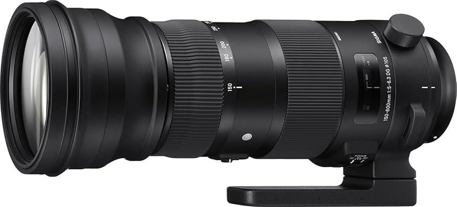 Amazon.co.jp: SIGMA 150-600mm F5-6.3 DG OS HSM | Sports S014