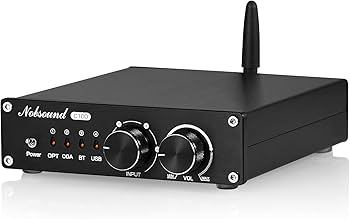 希少パワーアンプBediniClassic100 MonoAmplifiers Nobsound 100W フル