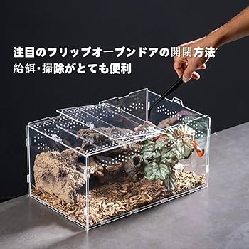 Amazon | 爬虫類 ケージ トカゲ ケージ カナヘビ飼育ケース 爬虫類