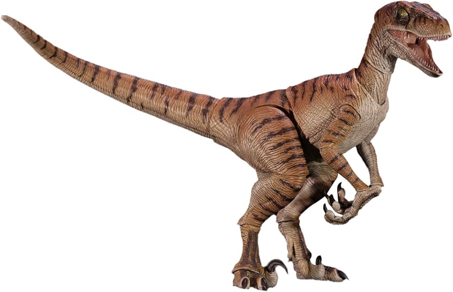 Amazon.co.jp: BACALYSO | Nanmu 本心楠改 零集易動シリーズ2.5 1/12