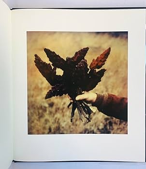 Mike Brodie - Tones of Dirt and Bone: Mike Brodie: 9781936611102