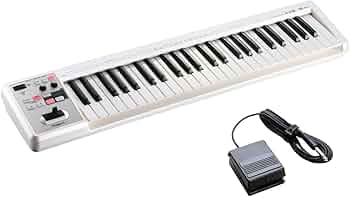 61IkntuYf0L._AC_UF350,