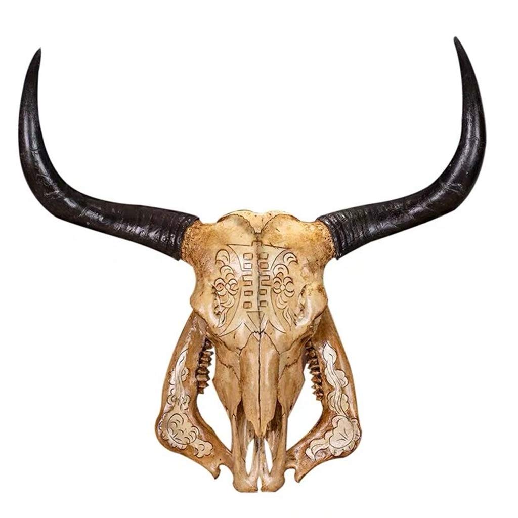 Amazon.co.jp: 天然雄牛の頭蓋骨 壁装飾 ロングホーン 雄牛の頭蓋骨