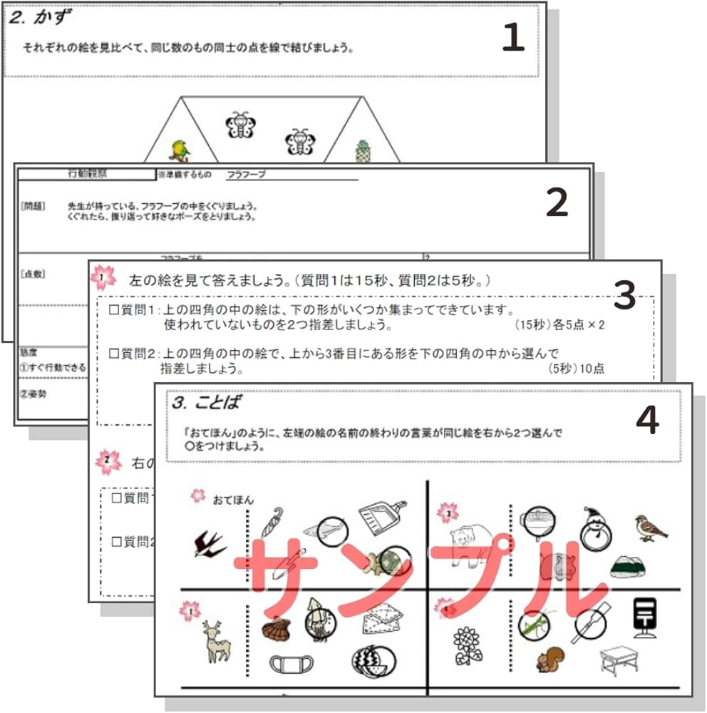 過去問を徹底分析！群馬大附属小学校受験合格への道 練習編・実践編