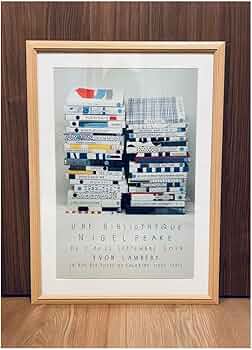 61IuO233IrL._AC_UF350,