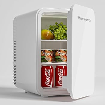 Amazon | HANLANG ミニ冷蔵庫10L 小型冷蔵庫 -2℃～60℃ 小型冷温庫 保冷