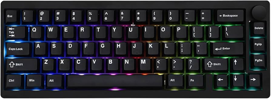 Amazon.com: EPOMAKER P65 QMK/VIA Wireless Aluminum Gaming Keyboard