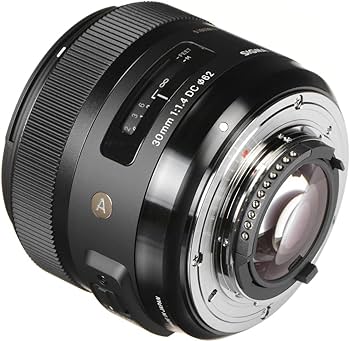 Amazon.com : Sigma 30mm F1.4 Art DC HSM Lens for Nikon : Digital