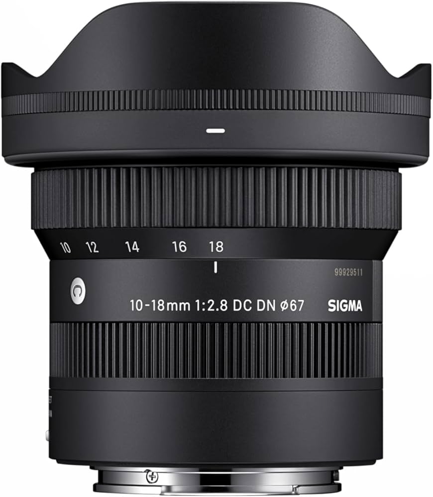 Amazon.co.jp: シグマ(Sigma) SIGMA シグマ Sony Eマウント レンズ 10