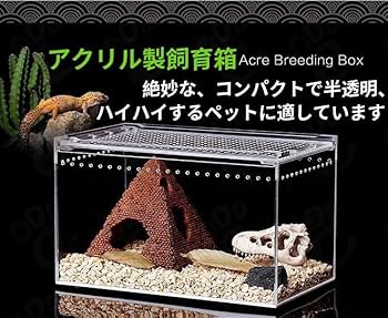 Amazon | RoBeKaU レプタイルボックス 爬虫類 飼育ケース 虫かご 大