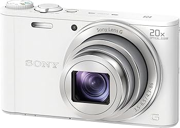 Amazon.com : Sony DSCWX350 18 MP Digital Camera (White) : Electronics