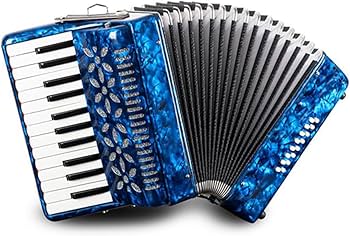 Amazon.co.jp: BailingDS アコーディオン 25キー 16ベース