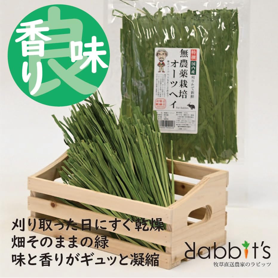 Amazon.co.jp: 【牧草直送農家のラビッツ】特撰無農薬オーツヘイ70g