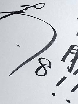 Amazon.co.jp: 佐藤輝明サイン色紙 野球 阪神 プロ野球 サイン