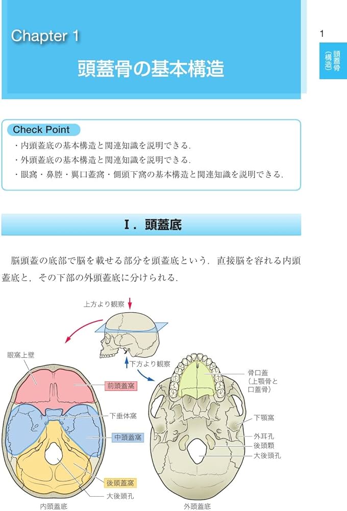 歯科国試パーフェクトマスター 口腔解剖学 第2版 | 阿部 伸一 |本