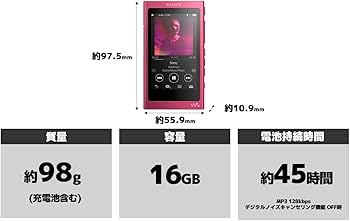 Amazon.co.jp: ソニー ウォークマン Aシリーズ 16GB NW-A35