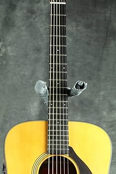 Amazon.co.jp: YAMAHA FGX5 Red Label アコースティックギター ヤマハ