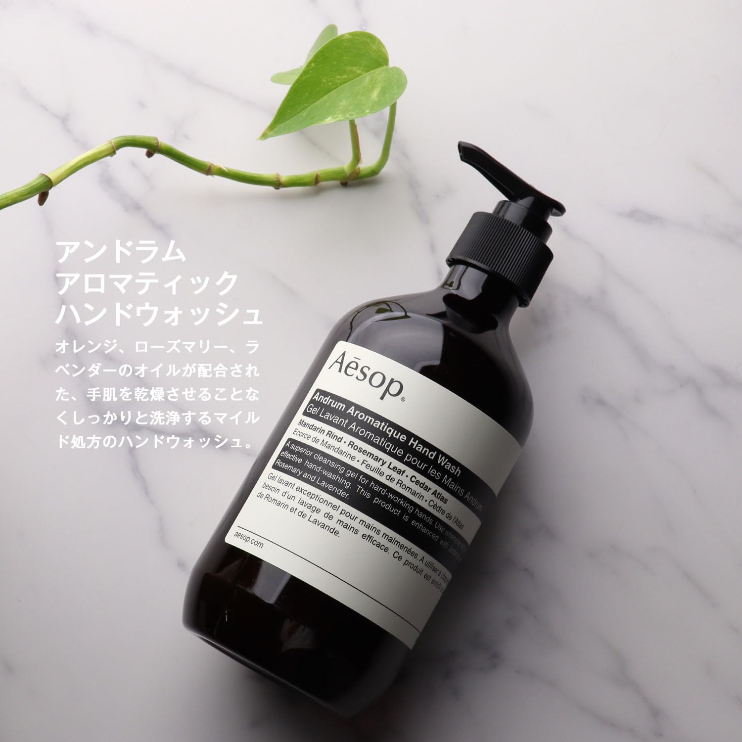 Amazon.co.jp: [ラッピング済み] Aesop イソップ ギフト セット