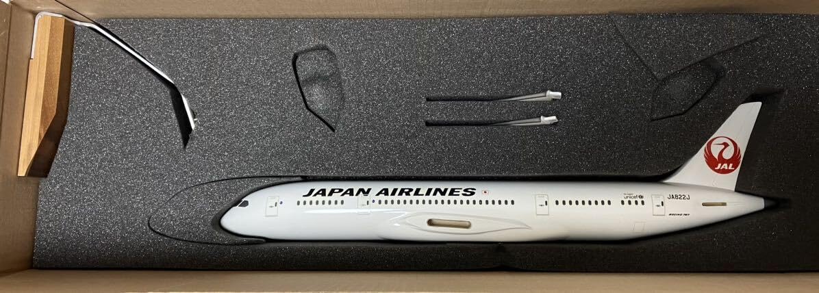 PACMIN JAPAN AIRLINES 航空機モデル 1/100 PACMIN JAPAN AIRLINES