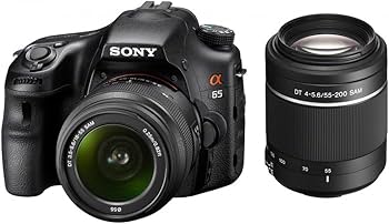 Amazon | SONY ミラーレス一眼 α65 ダブルズームレンズキット DT 18