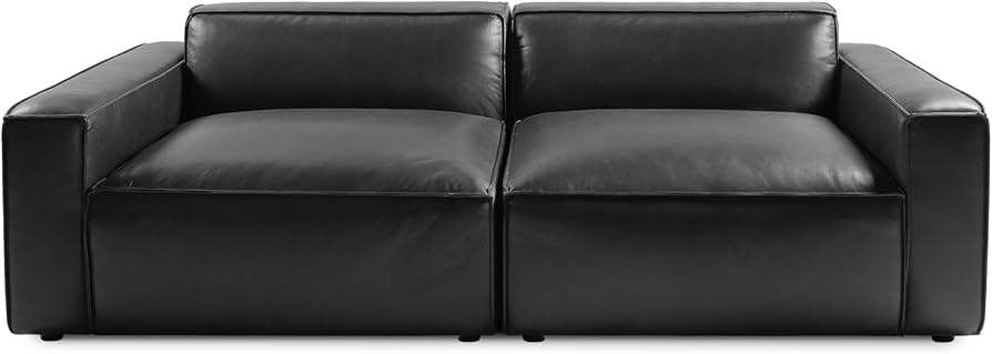 Amazon.com: Valencia Nathan Modern Loveseat Leather Sofa | 100