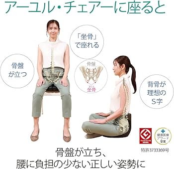 Amazon.co.jp: アーユルチェアー メディカルシート ベージュ(30129