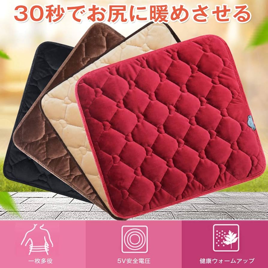 Amazon | 「30℃～39℃恒温＆45角」 HANSHUMY 電気座布団 30秒速熱 心形