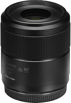 Amazon.com : Panasonic LUMIX G MACRO LENS, 30MM, F2.8 ASPH