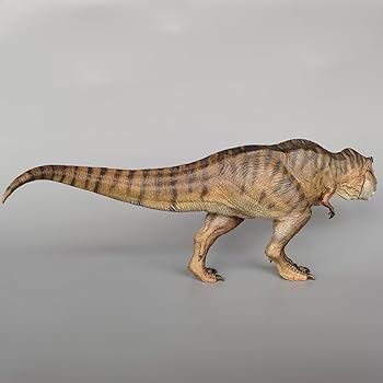 61gTeL21ZuL._AC_UF350,