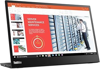 Lenovo ThinkVision M14 14