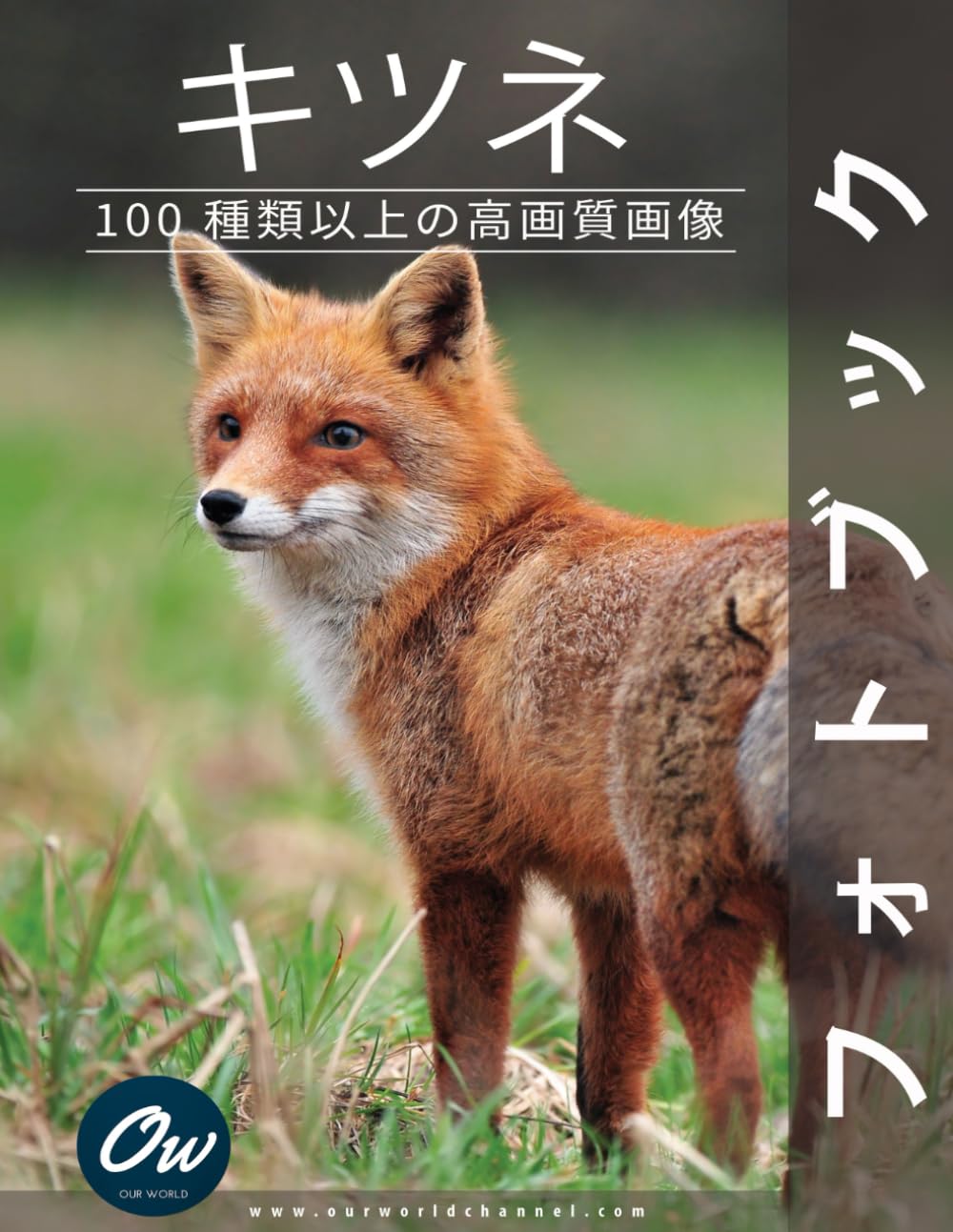 Amazon.co.jp: キツネ: フォトブック : わたしたちの世界, アラレット