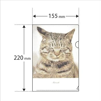 Amazon | キジトラ猫 クリアファイル 写真 A5サイズ 日本製 2枚セット