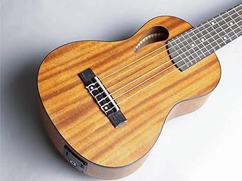 Amazon.co.jp: 音音 GP1M/e NTM プチギター ナイロン弦 ピックアップ付