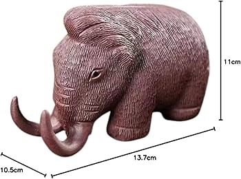 61iuqS5woiL._AC_UF350,