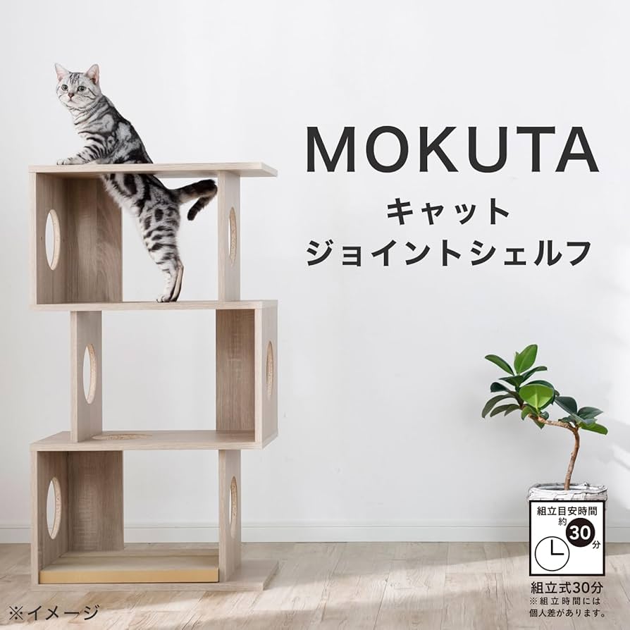 Amazon.co.jp: カインズ(CAINZ) MOKUTA キャットジョイントシェルフ 幅