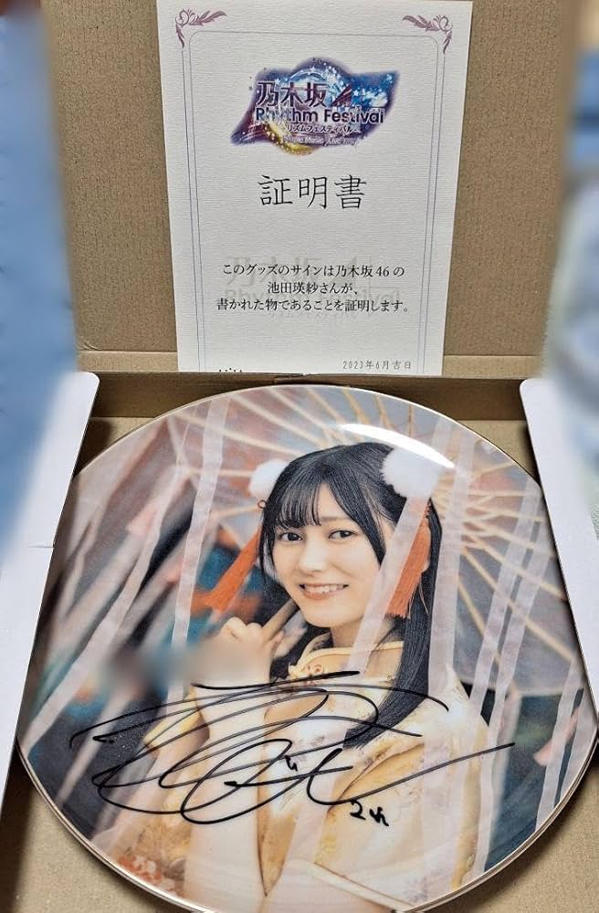 Amazon.co.jp: 池田瑛紗 直筆サイン入り絵皿 乃木フェス : おもちゃ