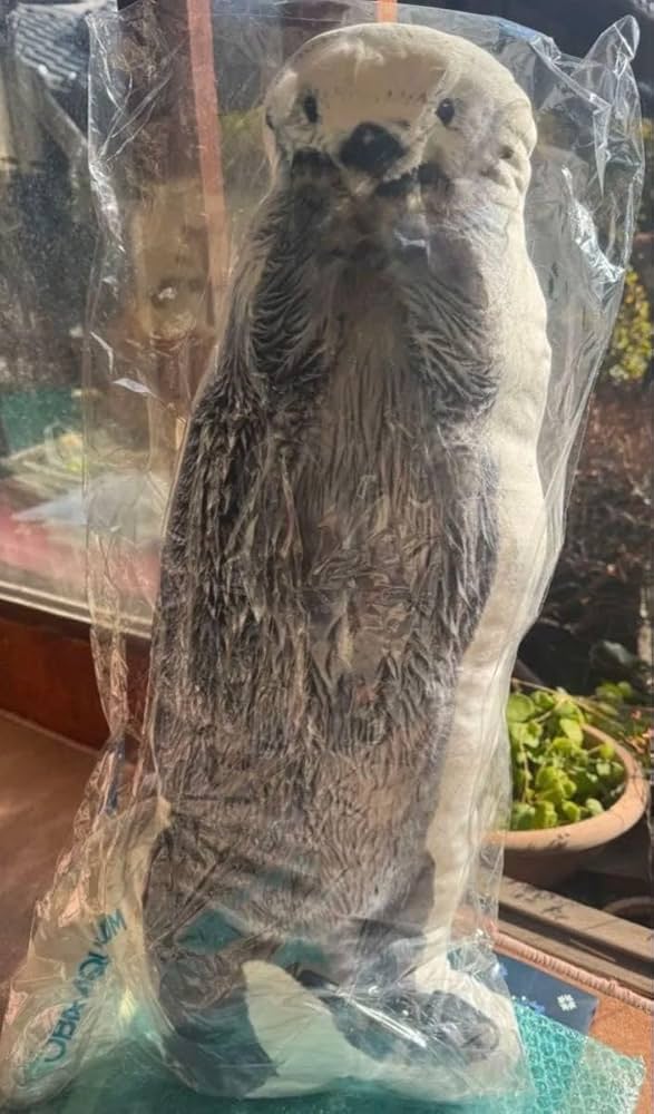 61k19mz3bsL._AC_UF894,