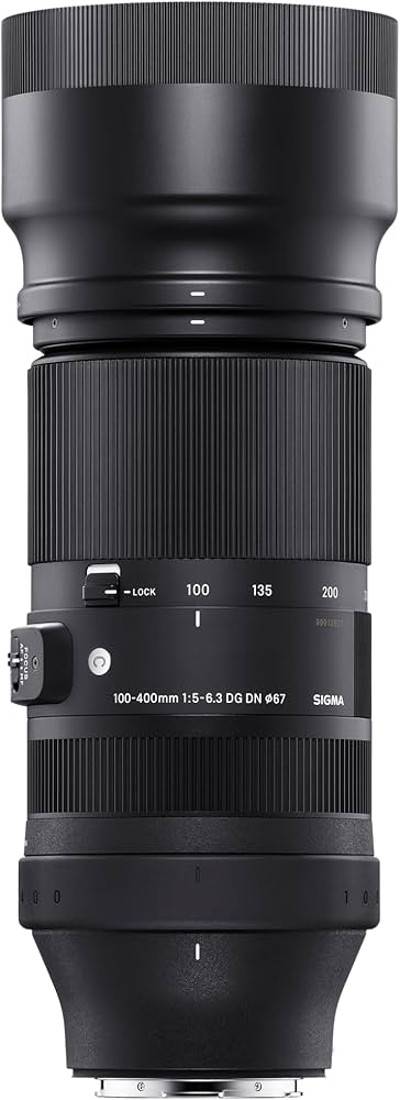 Amazon.co.jp: シグマ(Sigma) レンズ 100-400mm F5-6.3 DG DN Sony