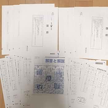 Amazon.co.jp: ◎2024年度◎Vもぎ 5教科2回＋おまけ 都立 高校