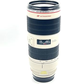 Canon EF 70-200mm f/2.8L is II USM Telephoto Zoom Lens for Canon