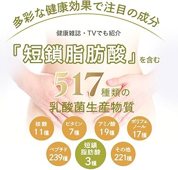 Amazon | タンサの力 517 短鎖脂肪酸 乳酸菌生産物質 腸活サプリ