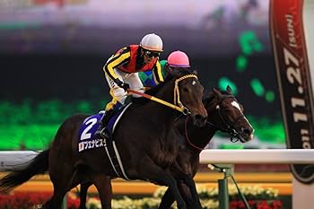 Amazon.co.jp: 中央競馬GⅠレース 2011総集編 [DVD] : DVD