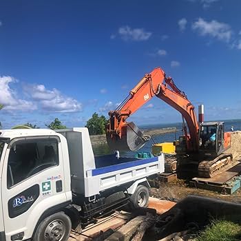 Amazon | パラオ産 サンゴ砂 パラワンサンド 【Mサイズ 1kg