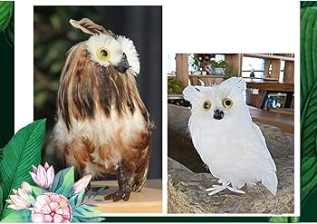 61ll9g5E5TL._AC_UF350,