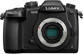Amazon.com : PANASONIC LUMIX GH5 Body 4K Mirrorless Camera, 20.3
