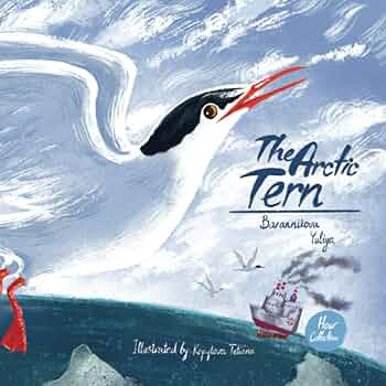 洋書 The Voyage of the Arctic Tern 洋書 The Voyage of the Arctic