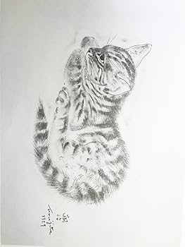 Amazon.co.jp: 超レア本 藤田嗣治 挿絵本 (洋書）『A Book Of Cats