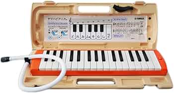 61mHWSFkC8L._AC_UF350,